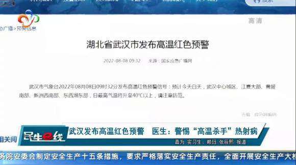 Wuhan TV Report 3